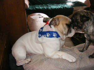 dscf6198.jpg