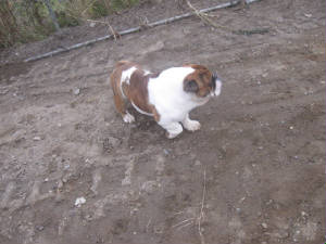 img_2784.jpg